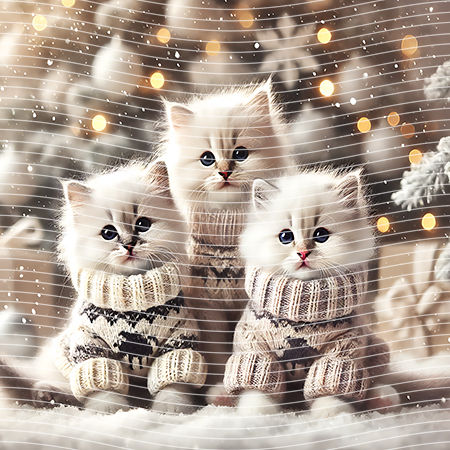 20oz integrate-EJ-2697